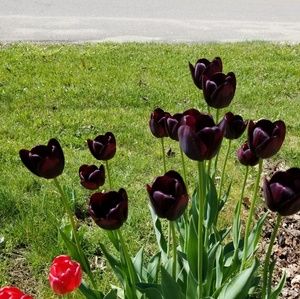 Meet your Posher, Deborah